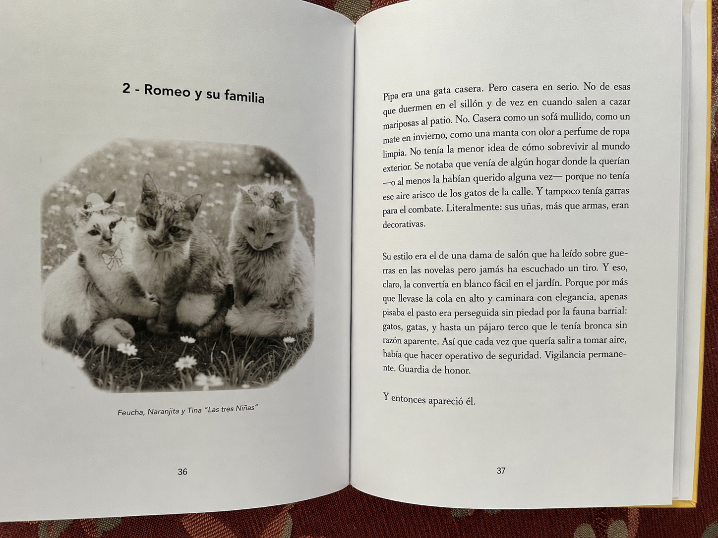 Páginas interiores de una biografía de mascota