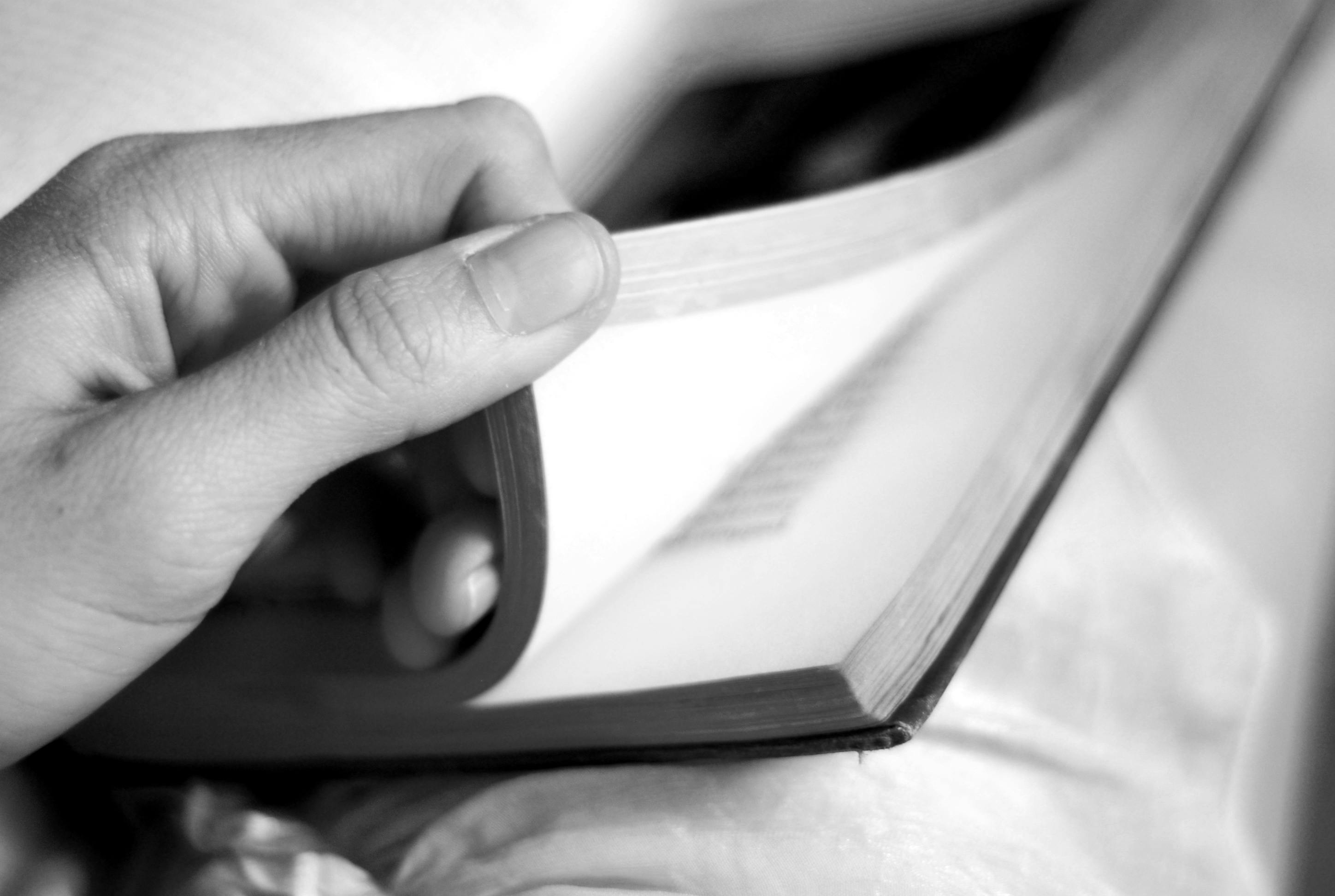 Cap&iacute;tulos interiores de una biograf&iacute;a familiar